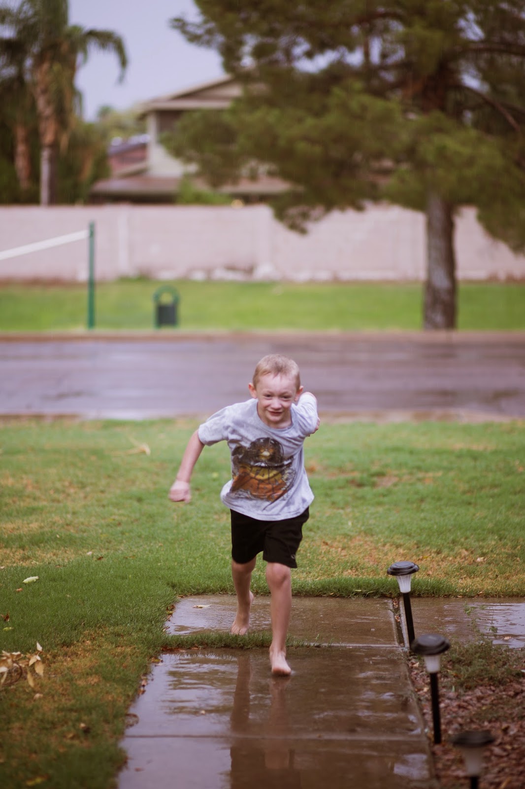 Because it Rained: August 2 Bonus Blog